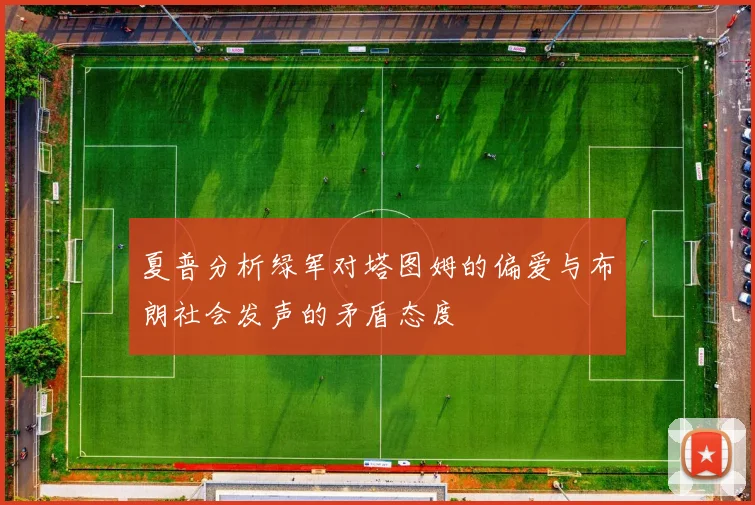夏普分析绿军对塔图姆的偏爱与布朗社会发声的矛盾态度