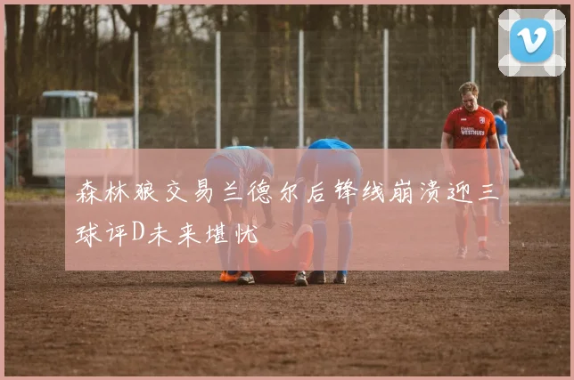 森林狼交易兰德尔后锋线崩溃迎三球评D未来堪忧
