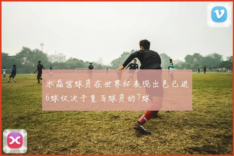 水晶宫球员在世界杯表现出色已进6球仅次于皇马球员的7球
