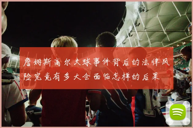 詹姆斯高尔夫球事件背后的法律风险究竟有多大会面临怎样的后果